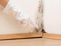 Best Commercial Mold Inspection  in Southmayd, TX